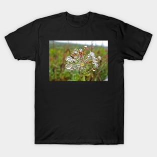 An Explosion of Dew T-Shirt